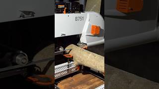 New Sawmill ireland sawmill timber logs holly woodwork machines bandsaw [upl. by Adine]