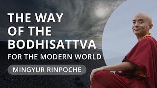 The Way of the Bodhisattva with Yongey Mingyur Rinpoche [upl. by Luigi]