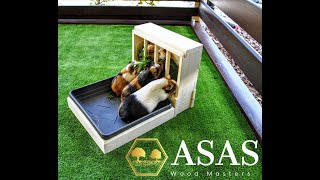 Guinea Pig Hay Feeder with Litter Box  AsasWood [upl. by Nitsruk]