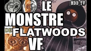 UFO OVNI LE MONSTRE DE FLATWOODS MDDTV [upl. by Haimes]