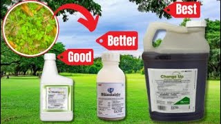 3 Weed Killers to Kill a Tough Weed Without Killing the Grass [upl. by Marabelle]