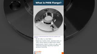 What is the PN16 Flange [upl. by Einatirb]