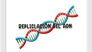 REPLICLACIÓN DEL ADN STOP MOTION [upl. by Leonore]