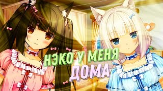 Появление неко извращенок ► Nekopara vol 0 [upl. by Glaab]