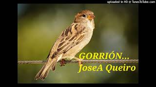 GORRIÓN JoseA Queiro [upl. by Hakkeber666]