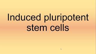 Induced Pluripotent Stem Cells Pronunciation  How to Say  How to Pronounce [upl. by Burn]