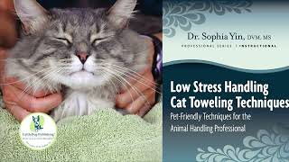 Cat Towel Wrap Techniques Look Easy  But Is It [upl. by Almita]