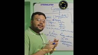 Cytoskeleton Cytoskeleton class 11 Cytoskeleton structure and functionbtosacademy [upl. by Groves746]