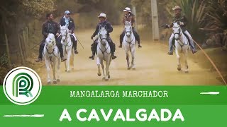 Documentário a paixão pelo Mangalarga Marchador [upl. by Retse]