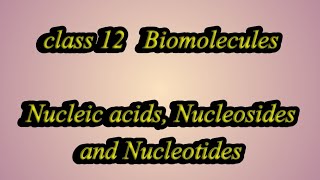 Nucleic acidsclass 12 biomoleculeschemistry [upl. by Analeh348]