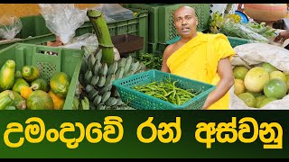 උමංදාවේ රන් අස්වනු umandawa ashramaya පුනරුදය2022 [upl. by Bradway179]