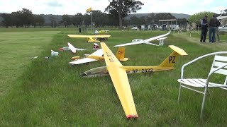 The Great Wangaratta Aerotow 2024 [upl. by Ietta]