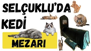 SELÇUKLU’DA KEDİ MEZARI [upl. by Ebberta]