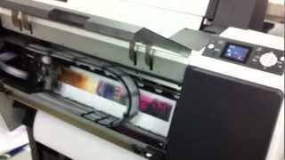 Epson Stylus Pro 7900 [upl. by Guyon530]