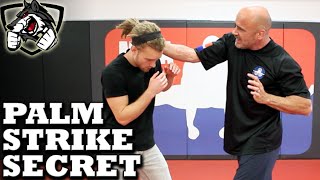 Bas Ruttens Palm Strike KO Secret Technique Bone Strikes [upl. by Neveda]