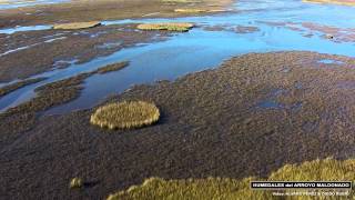 Humedales del Arroyo Maldonado  Uruguay [upl. by Badger48]