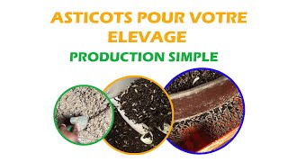 PRODUCTION DASTICOTS POUR VOTRE ELEVAGE [upl. by Saraiya862]