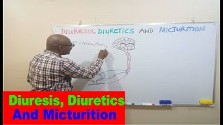 Diuresis Diuretics and Micturition [upl. by Ib630]