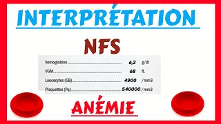 Numération formule sanguine  ANÉMIE  Interprétation [upl. by Kulsrud]