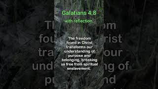 Galatians 48 With Reflection [upl. by Neelyak175]