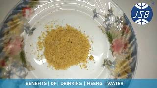 Benefits of Hing Water in Hindi  हिंग के पानी के फायदे हिंदी में [upl. by Denver554]