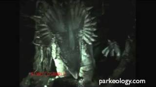 Disneys Dinosaur ride the BEST ride through in full night vision [upl. by Romilda]