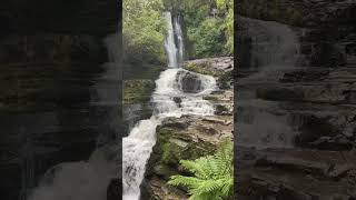 McLean Falls located in Southland NZ nature travel waterfall naturelovers natureseekers [upl. by Haela219]