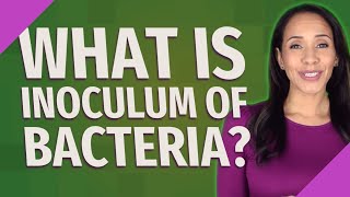 What is inoculum of bacteria [upl. by Mehitable]