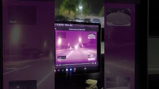 Wam Bam Tesla Cam teslacam teslacrash lightdutytow automobile [upl. by Fitzsimmons]