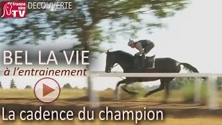 Bel la Vie à lentraînement avant sa rentrée à Auteuil [upl. by Hudgens]