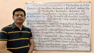 Expectorant and Antitussive Part04 Mechanism of Action of Expectorants and Mucolytic Drugs [upl. by Ahsurej]