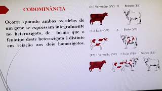 Variação nos padrões de herança dominância completa incompleta codominância alelos letais [upl. by Mullins]