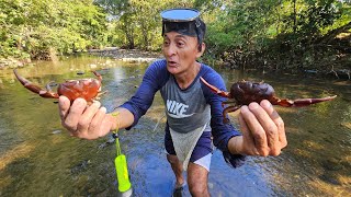 Pescando Cangrejos grandes de rio [upl. by Inol]