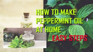 How to make peppermint oil from peppermint leaves  Easy step  DIY [upl. by Olenta568]