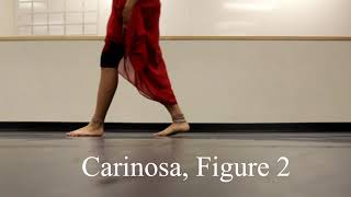 carinosa figure 2 [upl. by Ahsaeym]