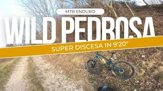 MTB si può fare meglio Wild Pedrosa basso Friuli [upl. by Siegfried]