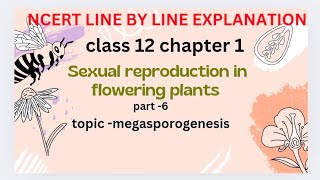 megasporogenesis  Sexual reproduction in flowering plants NCERT line by line explanation [upl. by Oneill]