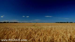 60minutes2relax  Golden Wheat Field [upl. by Viridis]