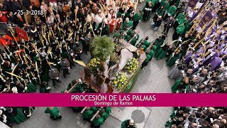 Procesión de las Palmas 2018 en Valladolid  4K UHD [upl. by Dylan]