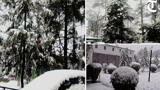 Kasauli Solan Barog Dagshai get season’s first snow [upl. by Ingamar442]