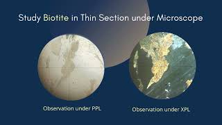 Biotite thin section under microscope  Pleochroic  Optical Mineralogy Geology Earth Science [upl. by Ddarb715]