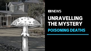 Leongatha deaths Investigators await toxicology report over suspected mushroom poisoning  ABC News [upl. by Blight709]