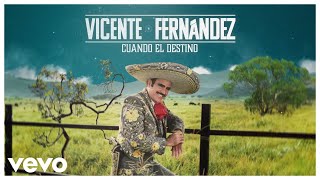 Vicente Fernández  Cuando el Destino Video Lyrics [upl. by Wileen]