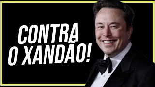 ELON MUSK CONVOCOU MANIFESTAÇÃO CONTRA ALEXANDRE DE MORAES  Cortes do MBLiveTV [upl. by Nnairrehs]