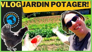 VLOG  VISITE DE MON JARDIN POTAGER ASTUCES CONSERVES [upl. by Aikim487]