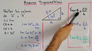 Ejercicio de Razones Trigonométricas  Trigonometría [upl. by Airrehs]