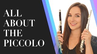 All About The Piccolo  Best Piccolos for Beginners  How To Choose A Piccolo [upl. by Odanref]