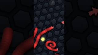 OMG KING SNAKE Vs snake worms 55000 score Fadi08game [upl. by Monjo476]