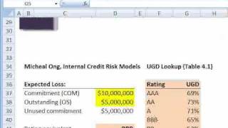 FRM Intro to Credit Adjusted Exposure [upl. by Korie]