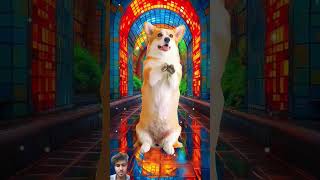 song dog cat pets doglover funny music hindisong newsong love animals [upl. by Litha]